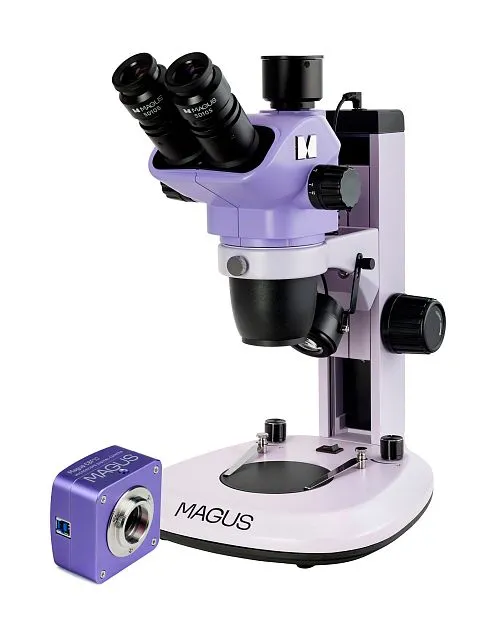 fotografía estereomicroscopio digital MAGUS Stereo D7T BASE