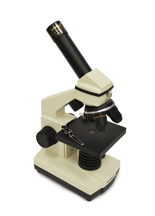 foto microscopio Digital Levenhuk D2L NG