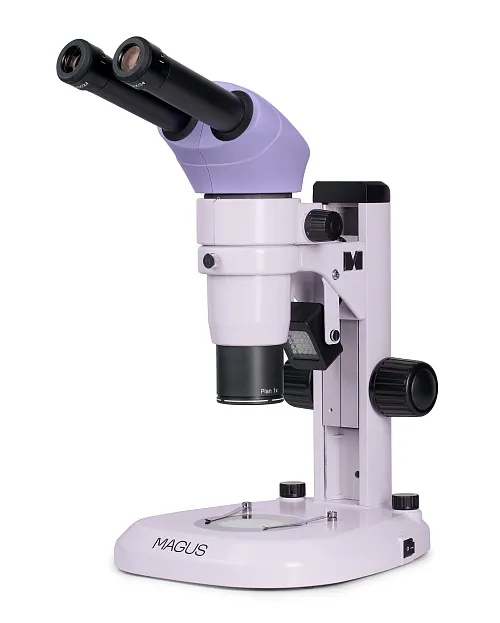 imagen estereomicroscopio MAGUS Stereo A6