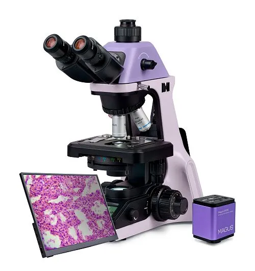 gráfico microscopio digital biológico MAGUS Bio D240T LCD,  1