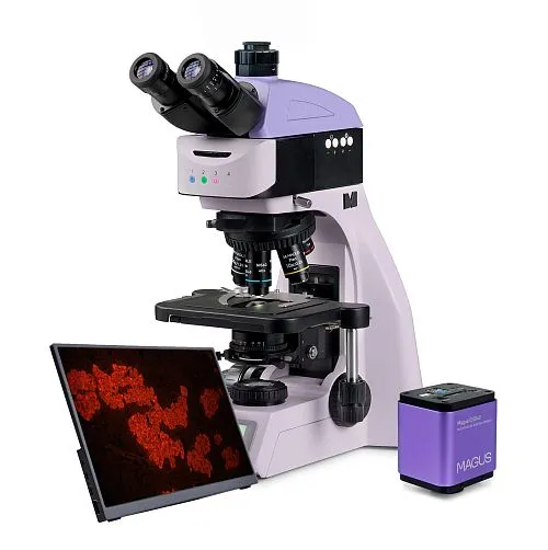 fotografía microscopio digital de fluorescencia MAGUS Lum D460L LCD,  1