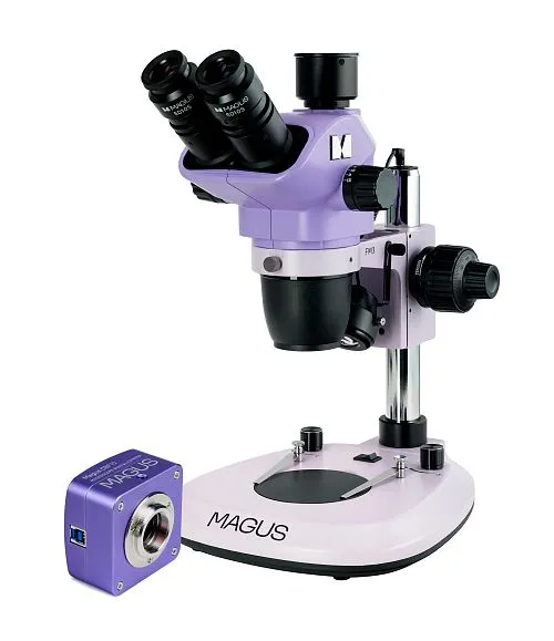 gráfico estereomicroscopio digital MAGUS Stereo D8T BASE