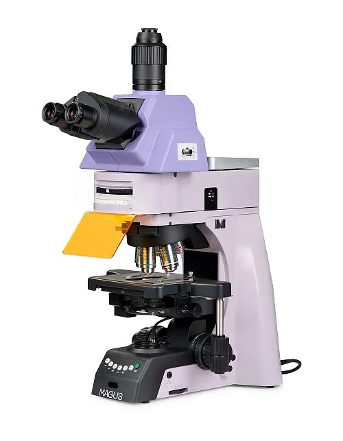 fotografía microscopio de fluorescencia MAGUS Lum 490L,  1
