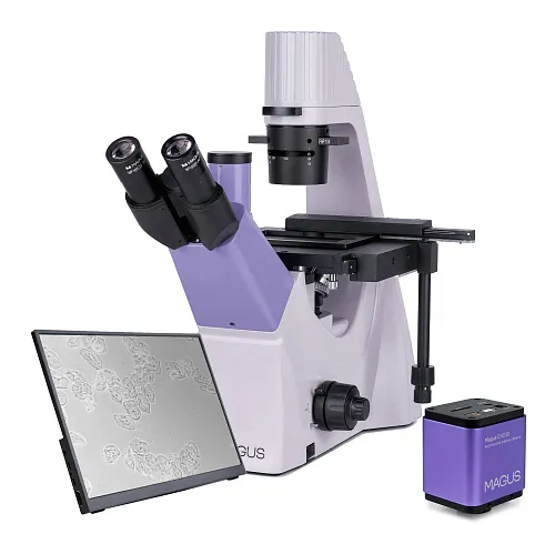 gráfico microscopio biológico invertido digital MAGUS Bio VD300 LCD,  1