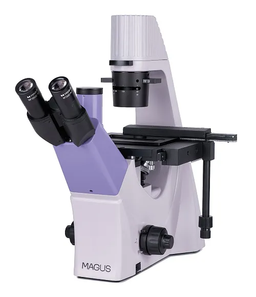 fotografía microscopio biológico invertido MAGUS Bio V300
