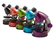 fotografía microscopio Levenhuk LabZZ M101