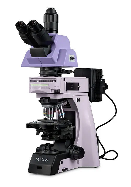 gráfico microscopio polarizador MAGUS Pol 890