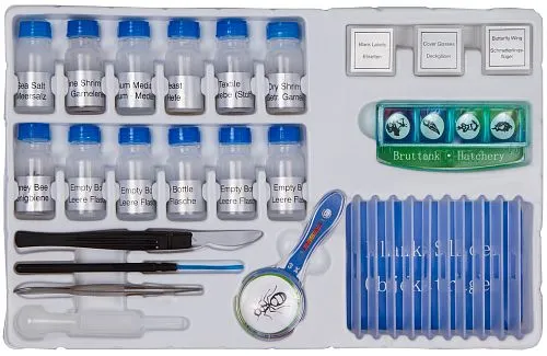 gráfico set de Experimento Bresser Junior,  1