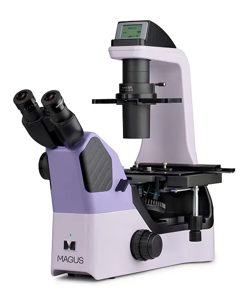gráfico microscopio biológico invertido MAGUS Bio V360