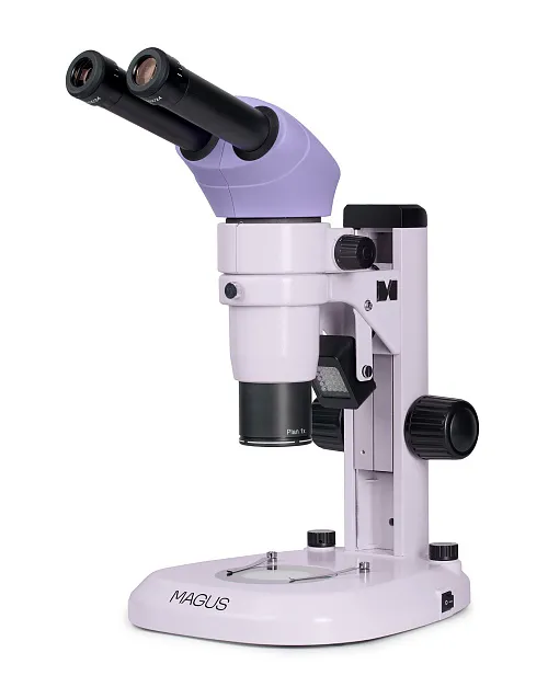 imagen estereomicroscopio MAGUS Stereo A8