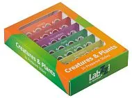 fotografía set de preparaciones Levenhuk LabZZ CP24: criaturas y plantas