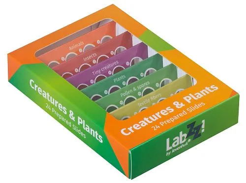 fotografía set de preparaciones Levenhuk LabZZ CP24: criaturas y plantas,  1
