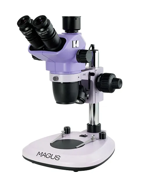 fotografía estereomicroscopio MAGUS Stereo 8T