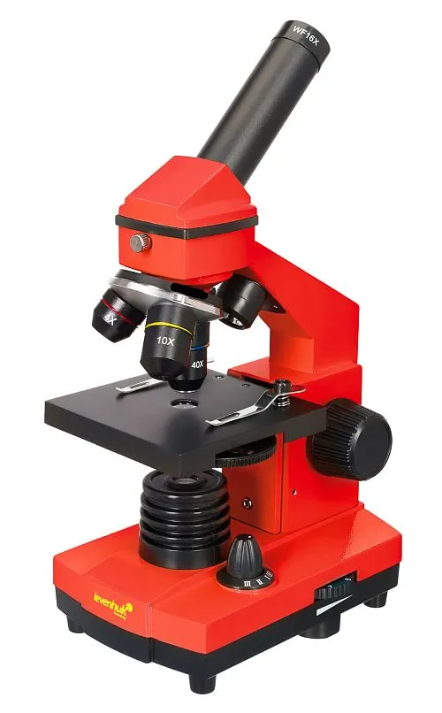 foto microscopio Levenhuk Rainbow 2L PLUS