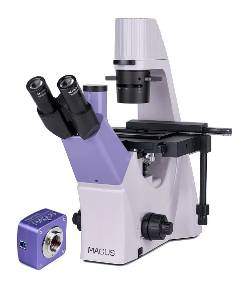 fotografía microscopio biológico invertido digital MAGUS Bio VD300