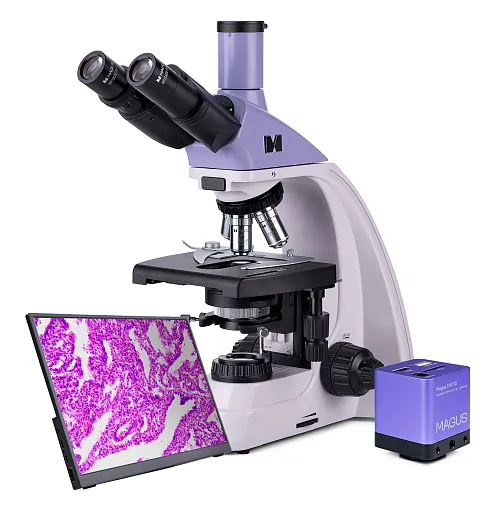 foto microscopio biológico digital MAGUS Bio D250T LCD