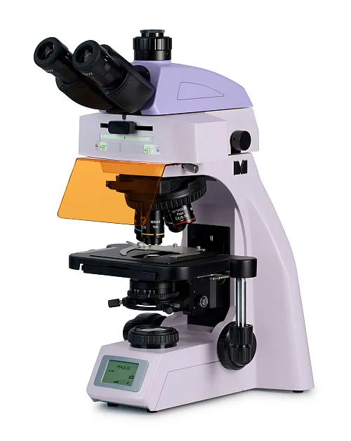 fotografía microscopio de fluorescencia MAGUS Lum 450L