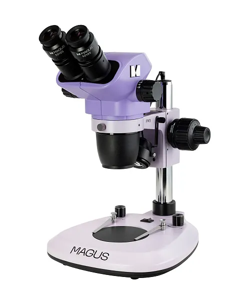 gráfico estereomicroscopio MAGUS Stereo 8B
