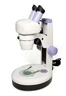 fotografía microscopio Levenhuk 5ST