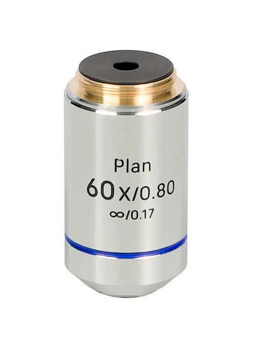 gráfico objetivo MAGUS 60PL Plan 60х/0,80 ∞/0,17,  1