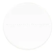 imagen portaobjetos de calibración MAGUS CSS1 para microscopios estereoscópicos (0,1)