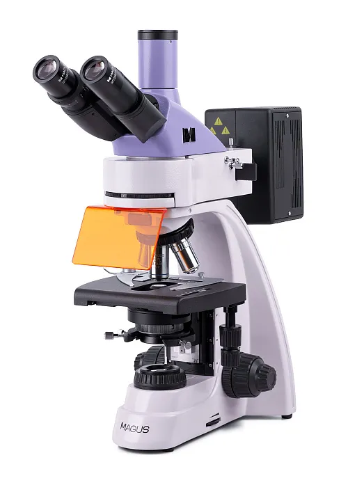 gráfico microscopio de fluorescencia MAGUS Lum 400