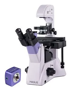 fotografía microscopio biológico invertido digital MAGUS Bio VD350