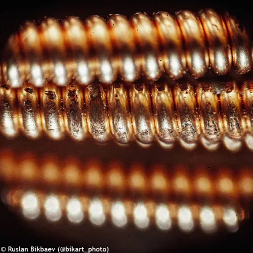 fotografía microscopio Levenhuk Rainbow 50L PLUS,  22