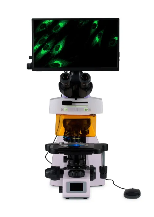 foto microscopio digital de fluorescencia MAGUS Lum D450L LCD,  8