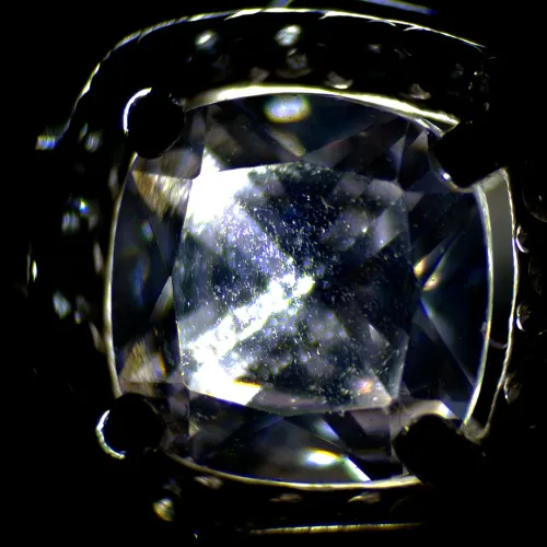 imagen estereomicroscopio MAGUS Stereo A6,  13