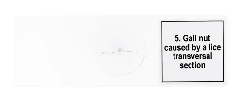 foto set de preparaciones para microscopio Levenhuk Discovery Prof DPS 5. «Alteraciones»,  8