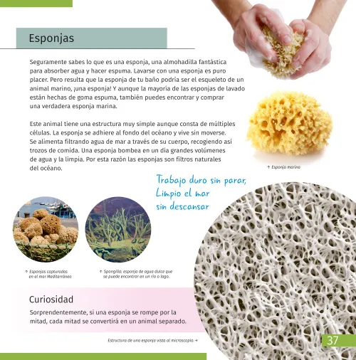 fotografía espacio y microcosmos. Libro educativo en 2 volúmenes,  9