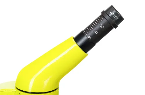 fotografía microscopio Levenhuk Rainbow 50L PLUS,  12