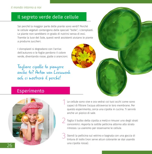 imagen el mundo invisible. Libro educativo,  6