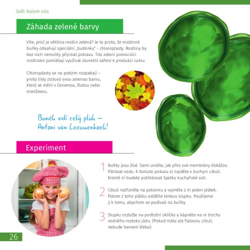 imagen el mundo invisible. Libro educativo,  4
