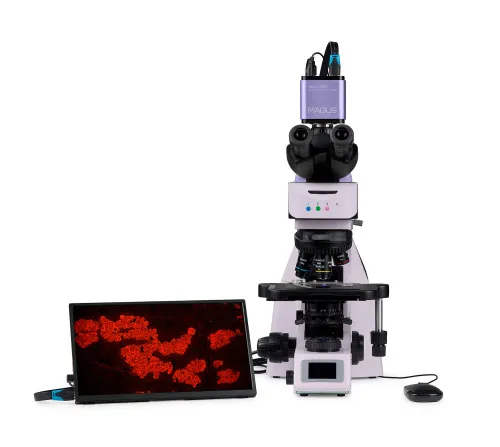 fotografía microscopio digital de fluorescencia MAGUS Lum D460L LCD,  10