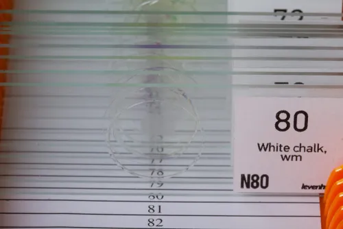 fotografía juego de preparaciones Levenhuk N80 NG «Lo verás todo»,  4