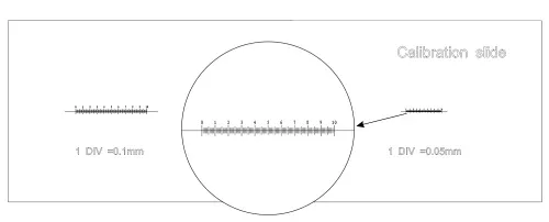 gráfico portaobjetos de calibración MAGUS CS3 (0,01/0,05/0,1),  6