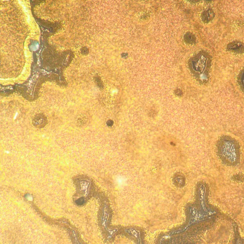 fotografía microscopio metalúrgico invertido MAGUS Metal V790 DIC,  21