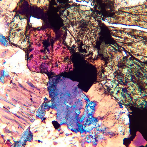 foto microscopio polarizador digital MAGUS Pol D850,  24