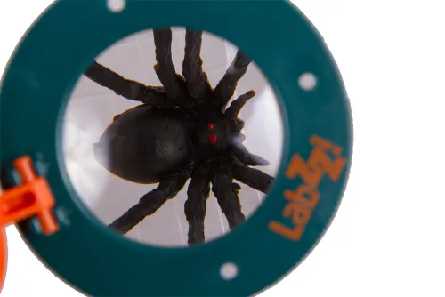 gráfico frasco para observar insectos Levenhuk LabZZ C1,  7