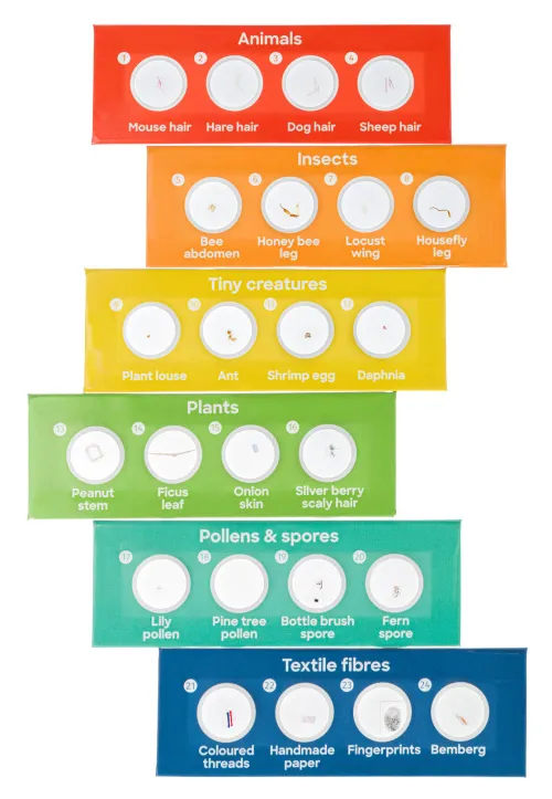 imagen set de 24 preparaciones Levenhuk Discovery Flora & Fauna,  3