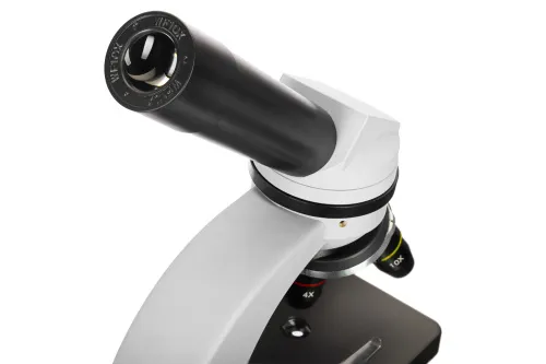 imagen microscopio Levenhuk Discovery Nano,  10