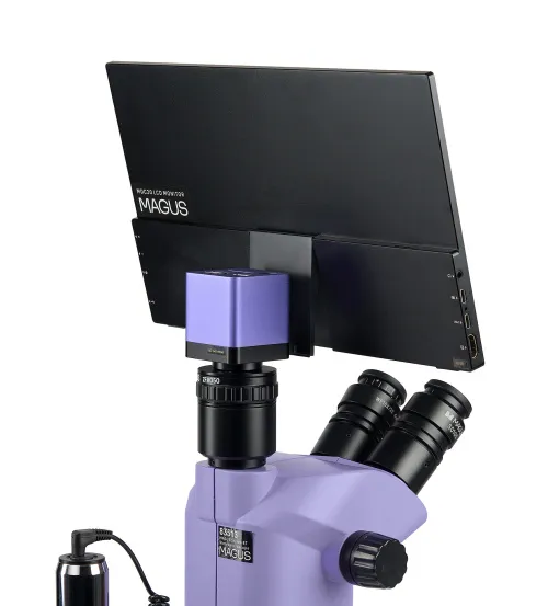 fotografía estereomicroscopio digital MAGUS Stereo D8T LCD BASE,  10