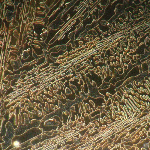 imagen microscopio metalúrgico digital MAGUS Metal D650 BD,  22