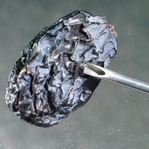 imagen estereomicroscopio MAGUS Stereo A6,  14