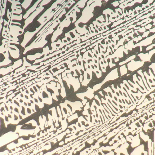 imagen microscopio metalúrgico digital MAGUS Metal D650 BD,  20