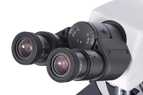 fotografía microscopio binocular Levenhuk MED 40B,  7