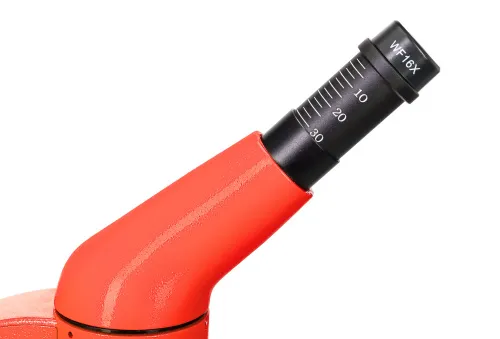 fotografía microscopio Levenhuk Rainbow 50L PLUS,  12