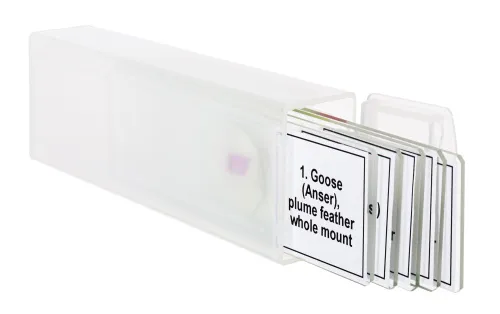 fotografía set de preparaciones para microscopio Levenhuk Discovery Prof DPS 5. «Aves»,  5